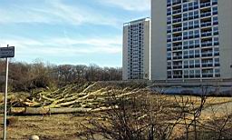 2012-02-22 15.05.29.jpg